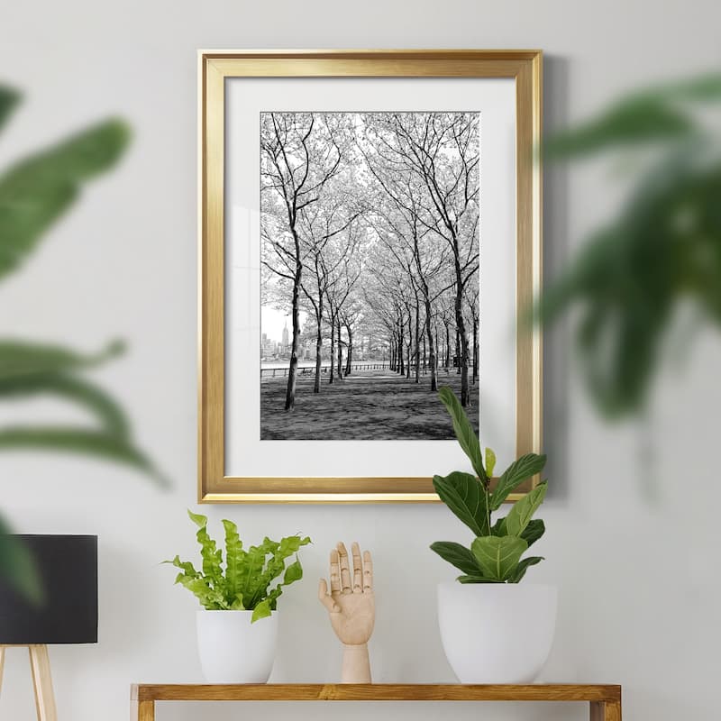 Pier a Park Premium Framed Print - Ready to Hang