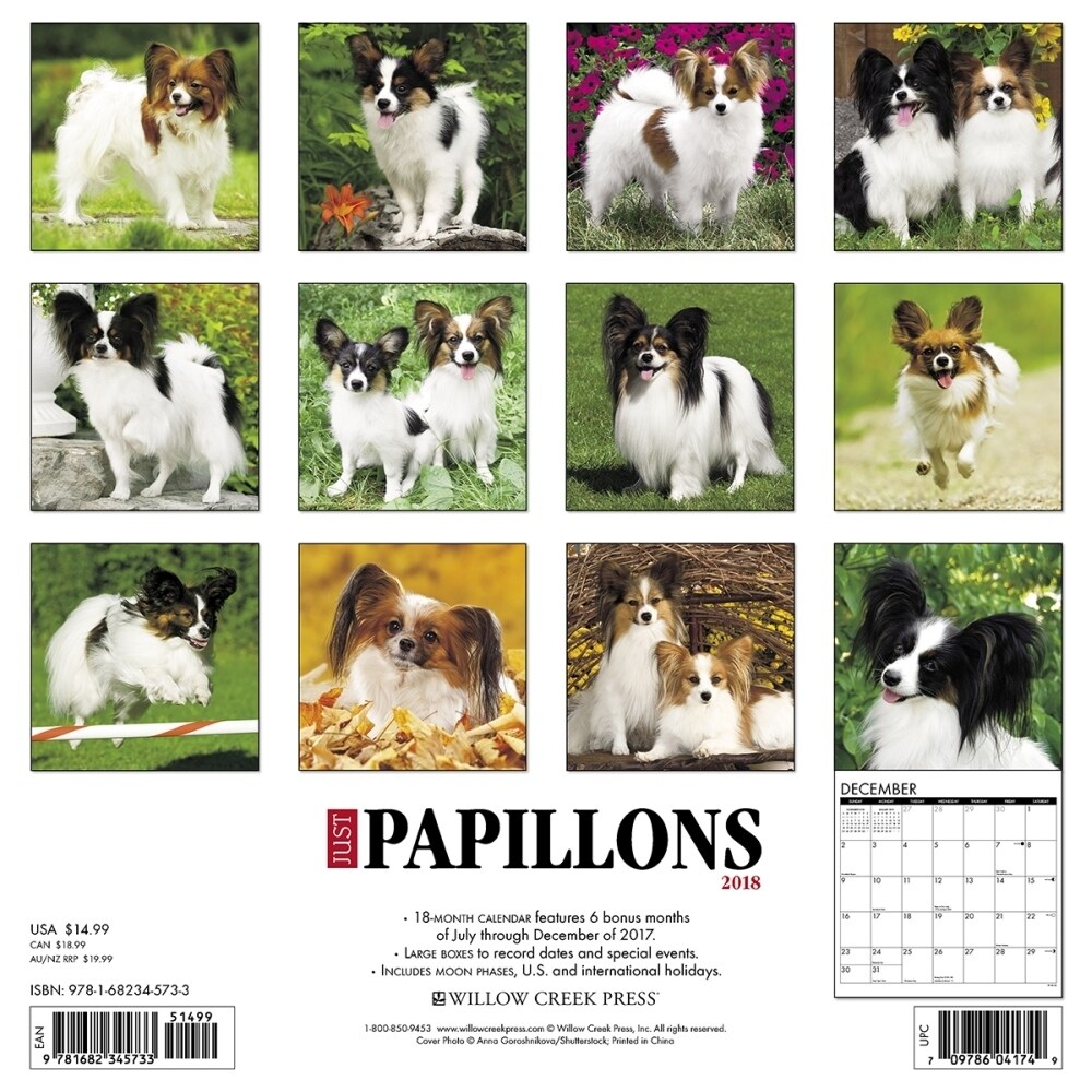 Shop Just Papillons Wall Calendar Papillon By Willow Creek Press