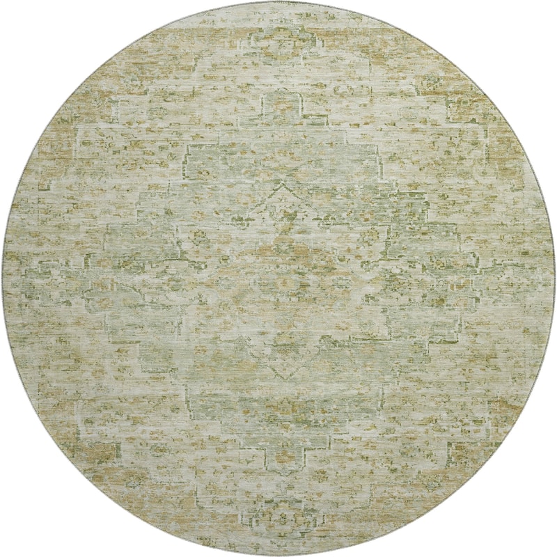 Premium Washable Super Soft Vintage Traditional Mayfield Rug