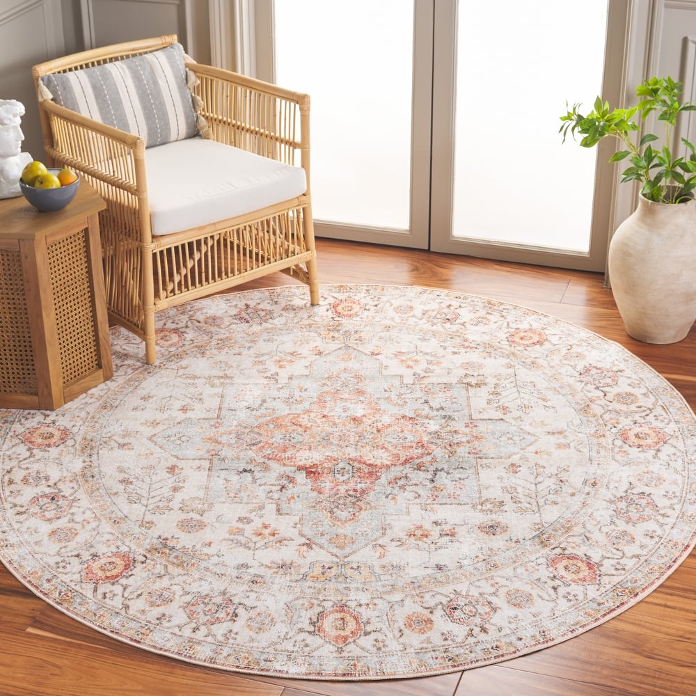 SAFAVIEH Arizona Minica Vintage Rug