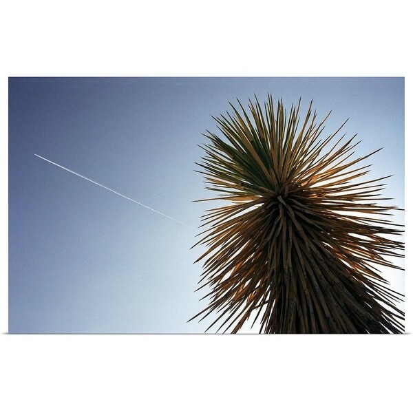 "Joshua Tree Cactus" Poster Print