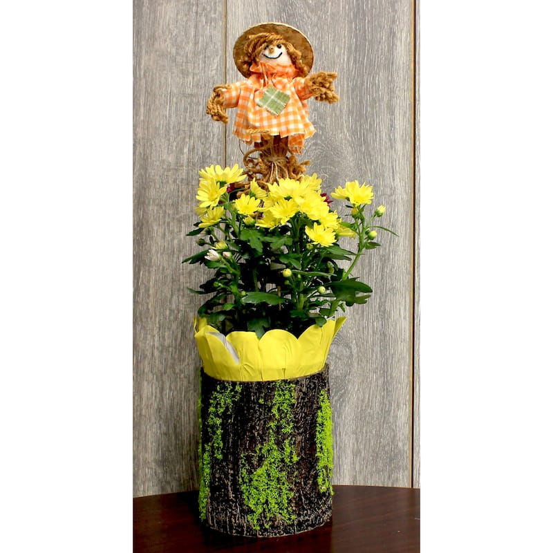 6" Harvest Scarecrow on a 9.5" Wooden Pick, Set of 3