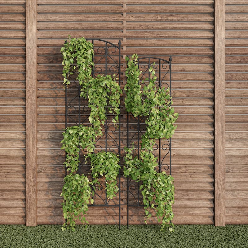 Set of 2 Garden Trellises - Decorative Scroll Metal Panels with 7.75-Inch Stakes by Pure Garden