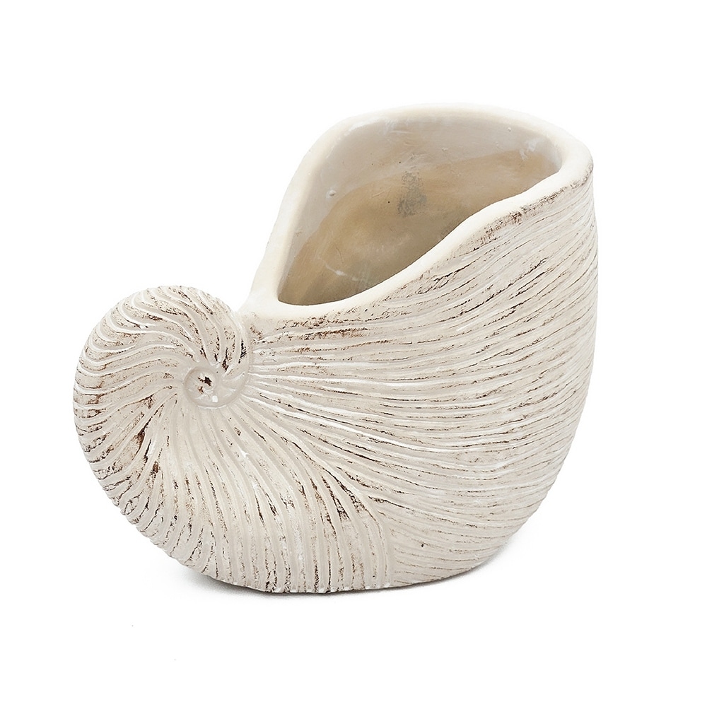 Nautilus Shell Cement Planter with Textured Beige Finish - 8.5''x5.5''x6.3''