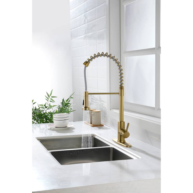 Kitchen Faucet with Pull Out Spraye