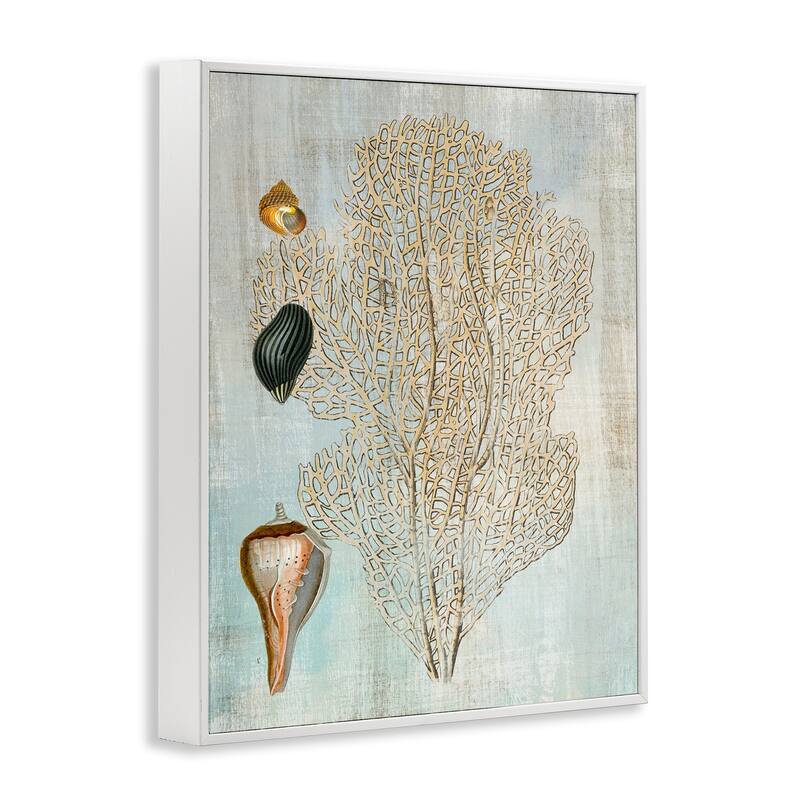 Stupell Detailed Coral & Seashells Framed Giclee Art Design By Susan Arnot