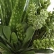 preview thumbnail 4 of 3, Uttermost Sundown Succulent Accent Planter