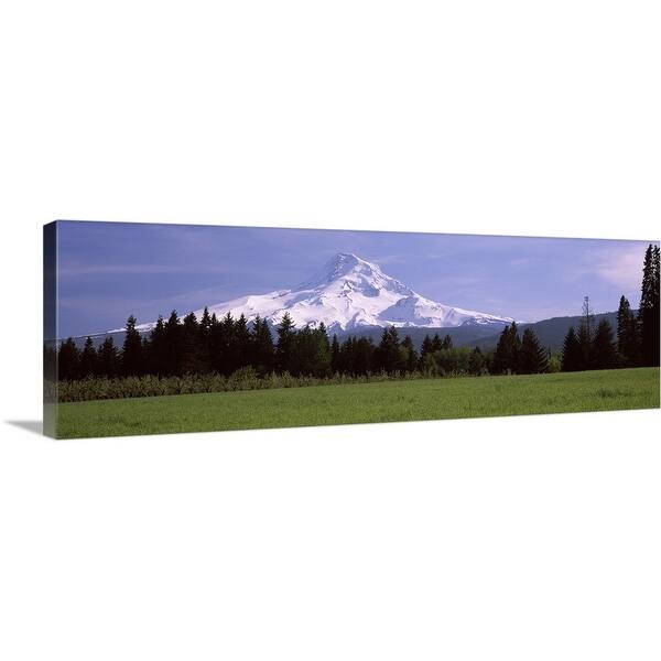 Field With A Snowcapped Mountain In The Background Mt Hood Oregon Canvas Wall Art Overstock 16895400