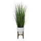 preview thumbnail 3 of 7, 50" Onion Grass in 10" Cathedral Ceramic Pot 50"H Large