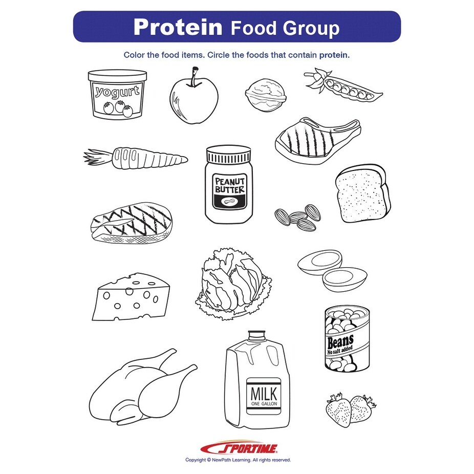 Shop For Sportime Protein Food Group Visual Learning Guide 4 Pages Grades 5 To 9 Get Free Delivery On Everything At Overstock Your Online Toys Hobbies Shop Get 5 In Rewards With Club O 29356776