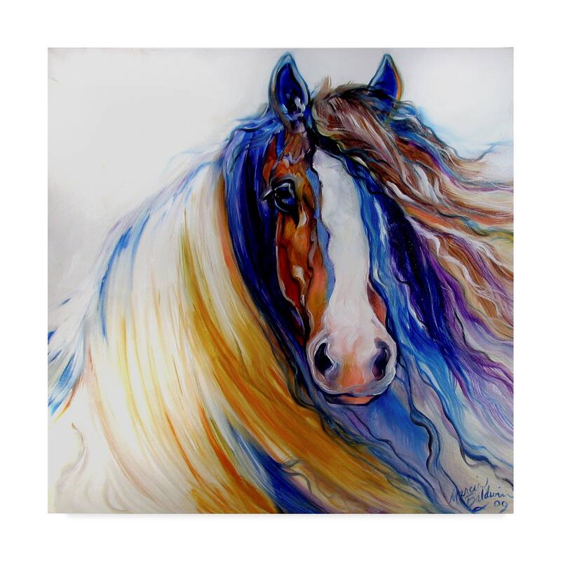 Marcia Baldwin 'Gypsy Vanner Rouge' Canvas Art