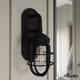 Option Natural Iron