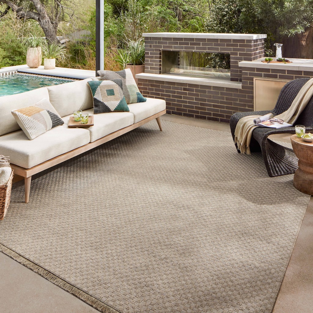 Alexander Home Dana Indoor / Outdoor Transitional Area Rug