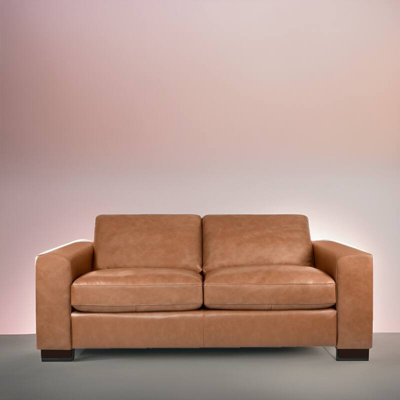 Genuine Leather Loveseat Sofa - Ultimate Comfort, Mid-Century Living Room Loveseat, Modern Small Couch with Sturdy Block Legs