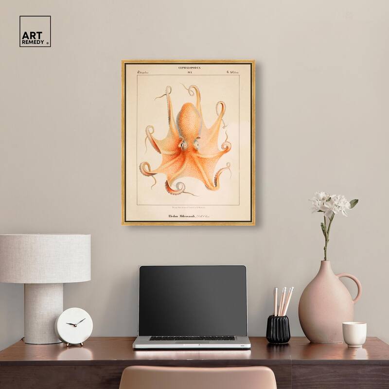 Verany The Octopus 1815 II Canvas by Art Remedy