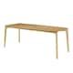 Option Oak