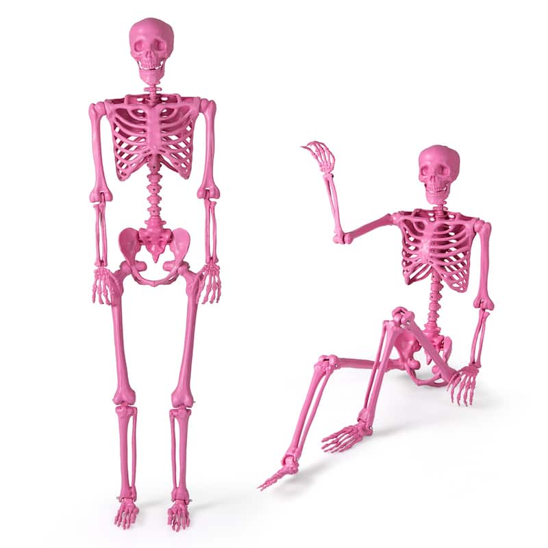 5.5 FT Halloween Skeleton Life-Size Poseable Skeleton w/ Movable Joints - Pink