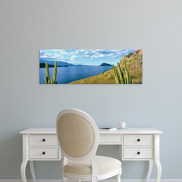 Easy Art Prints Panoramic Image 'Cardon cactus, Loreto Bay National Marine Park, BajCaliforniSur, Mexico' Canvas Art