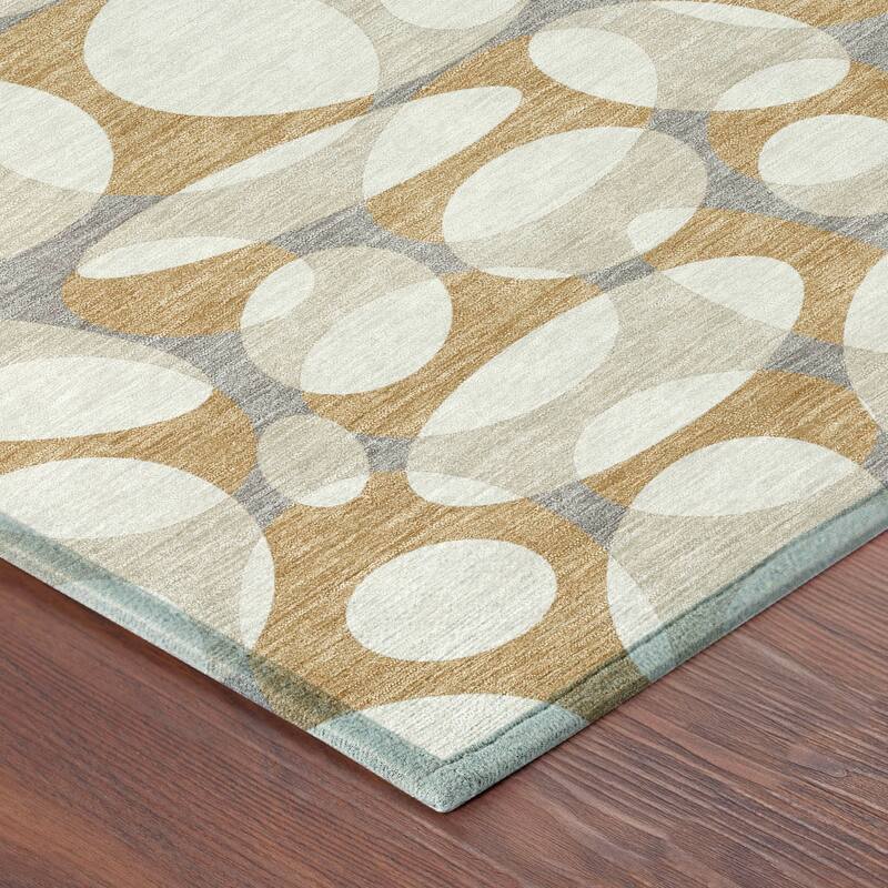 Machine Washable Indoor/ Outdoor Contemporary Saline Chantille Rug