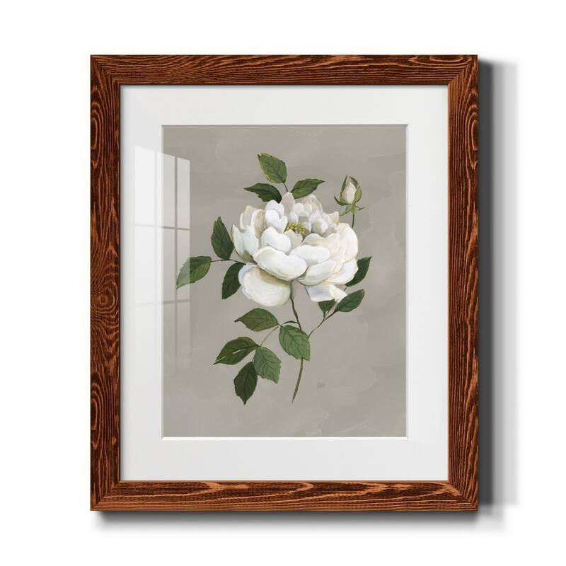 Botanical Rose-Premium Framed Print - Ready to Hang