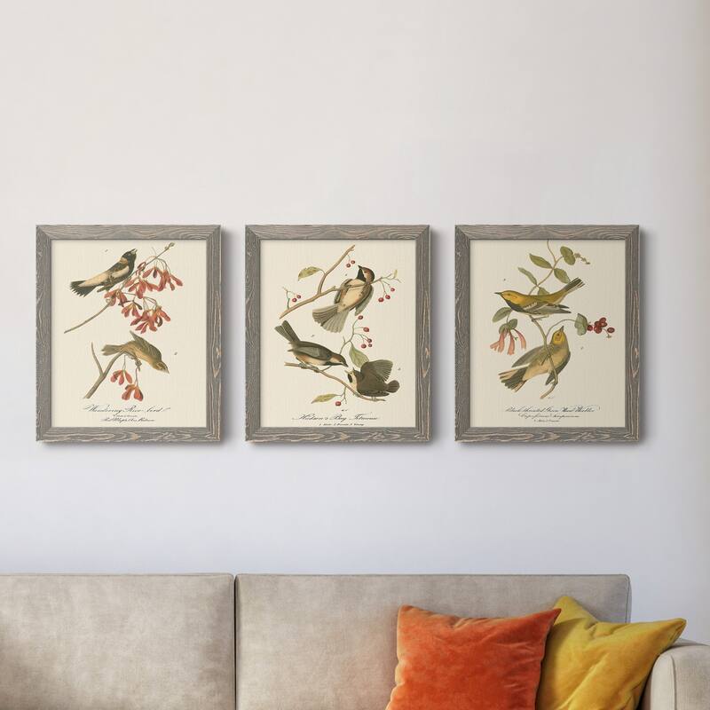Wandering Rice Bird-Premium Framed Canvas - Ready to Hang - Multi-Color