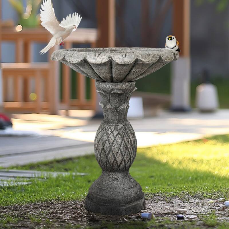 24.8" H Outdoor Concrete Bird Bath - Perfect for Adding Interest to Garden, Patio, Backyard, Porch and Deck