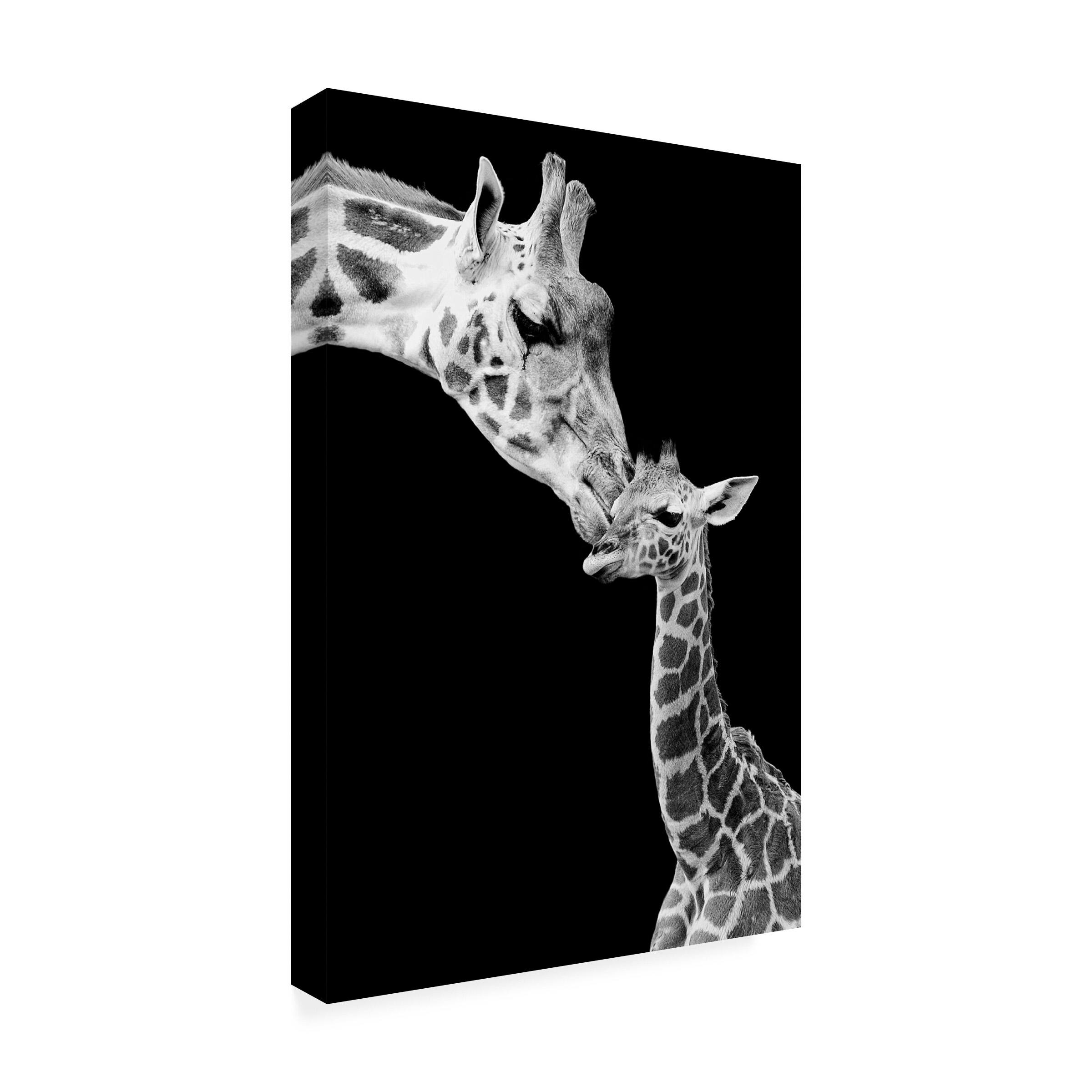 Incado 'First Love Giraffe' Canvas Art - Bed Bath & Beyond - 39535297