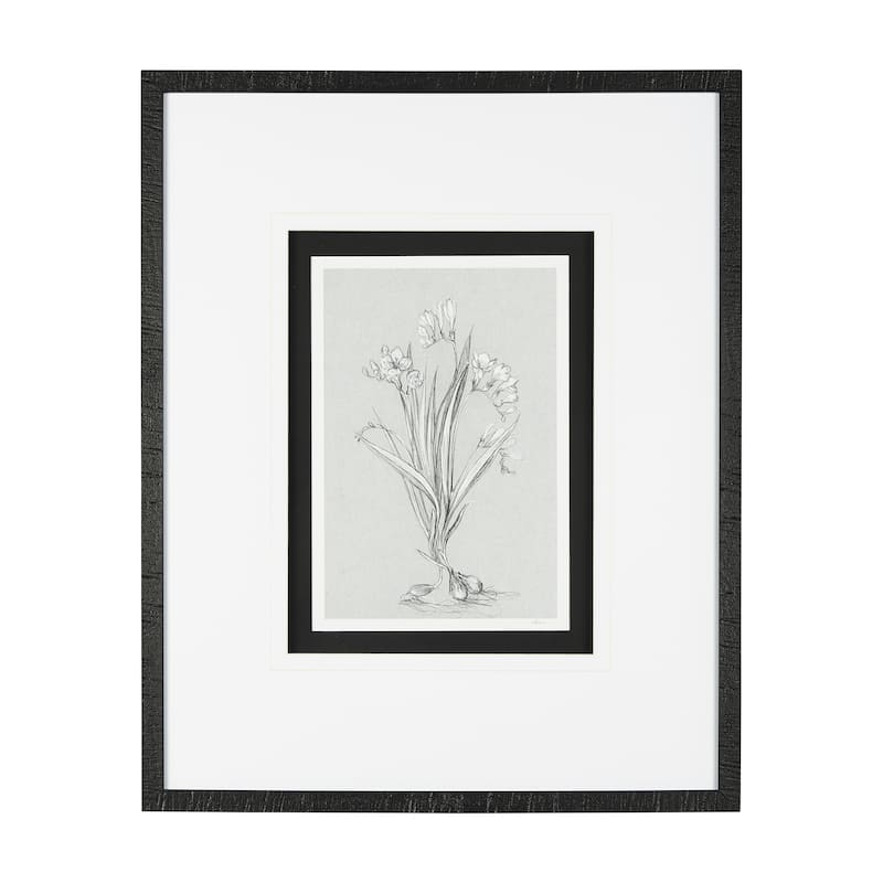 Botanical Sketches III (Grey) Framed Art Print