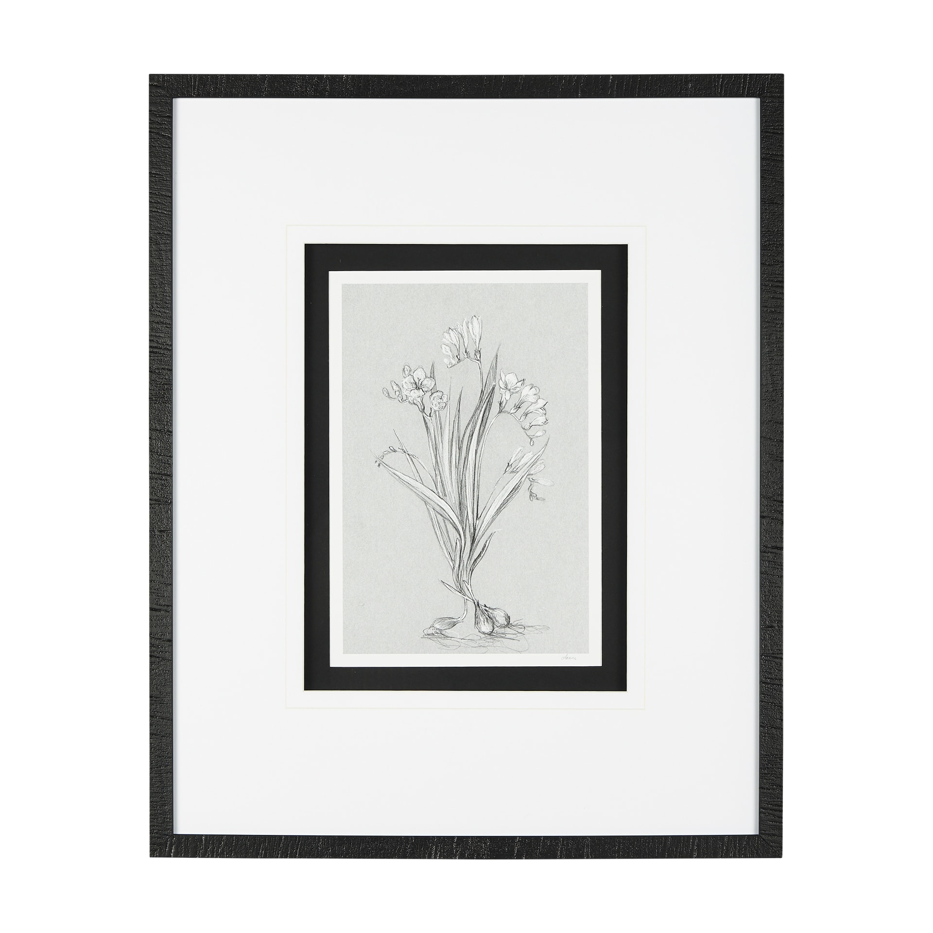 Botanical sketches III (Grey) by Mercana Studio Hand Embellished Framed Art Print Matted under Glass