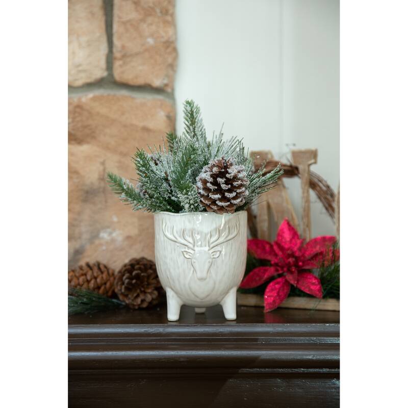 Xmas Mix in 4.5" Staghead Ceramic Footed Pot