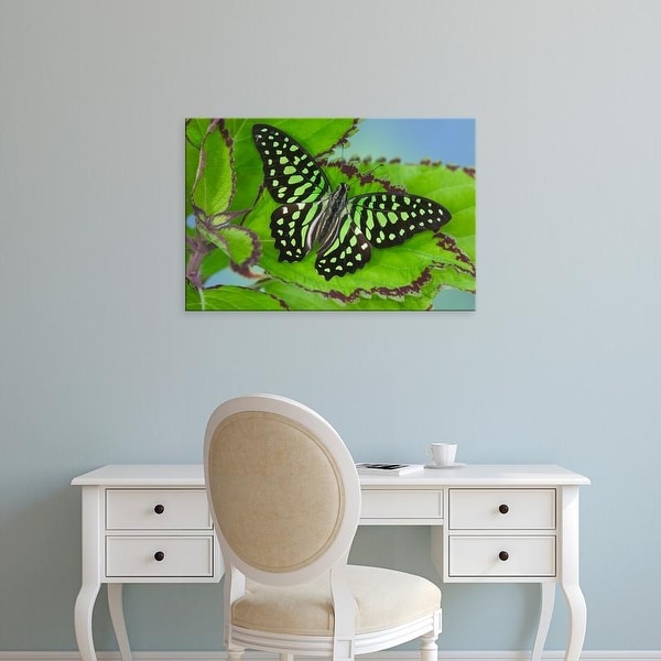 Easy Art Prints Darrell Gulin's 'Unknown' Premium Canvas Art