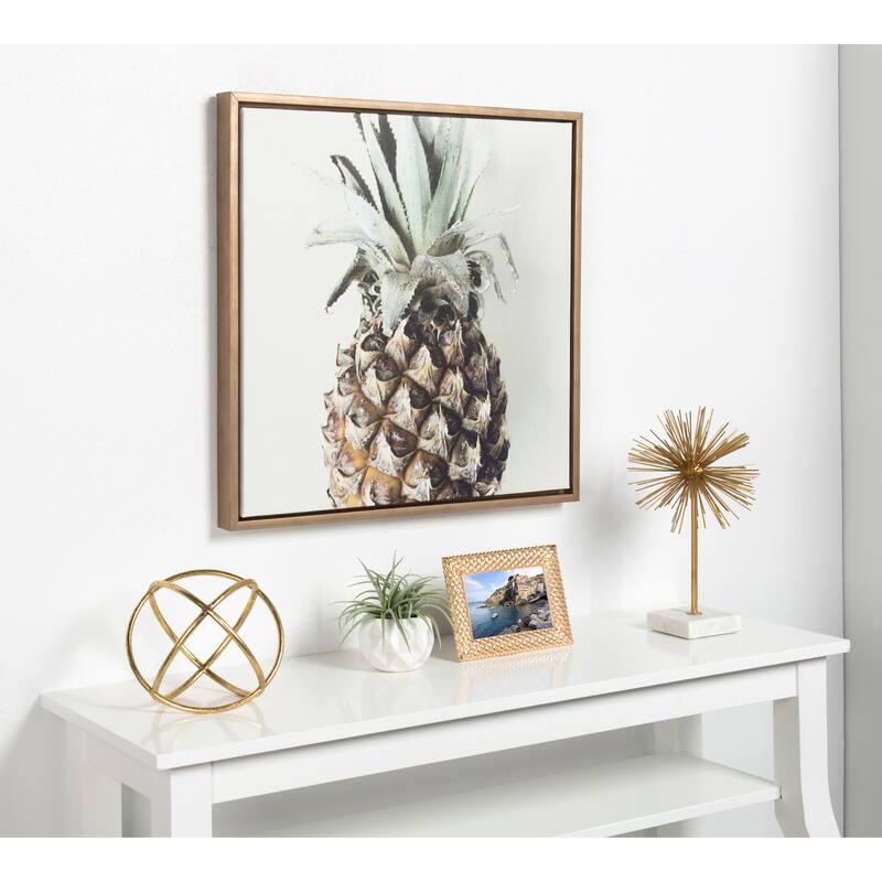Kate and Laurel Sylvie Solo Pineapple Framed Canvas by F2 Images
