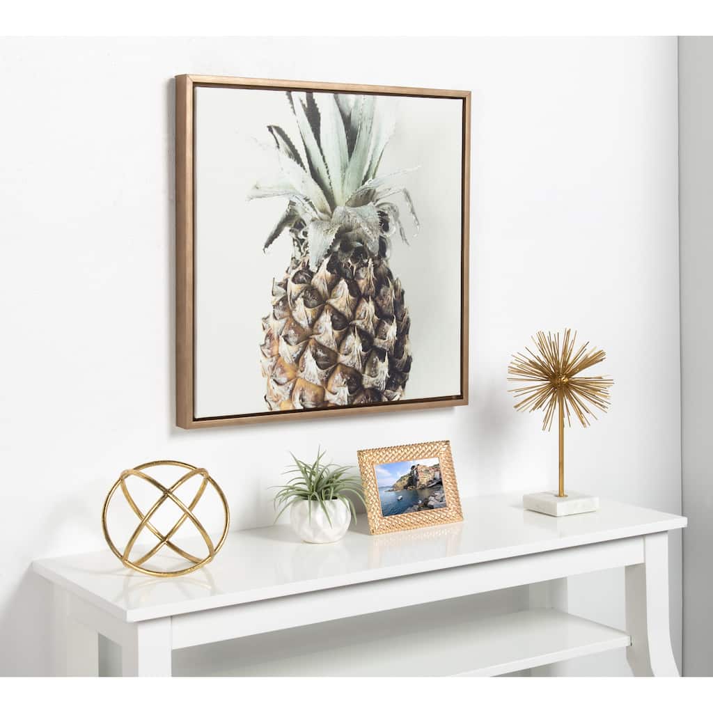 Kate and Laurel Sylvie Solo Pineapple Framed Canvas by F2 Images