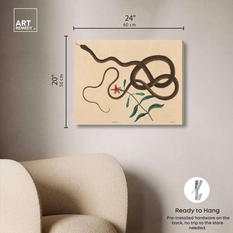 The Coach Whip Snake 1743 Canvas by Art Remedy, Gallery Wrapped