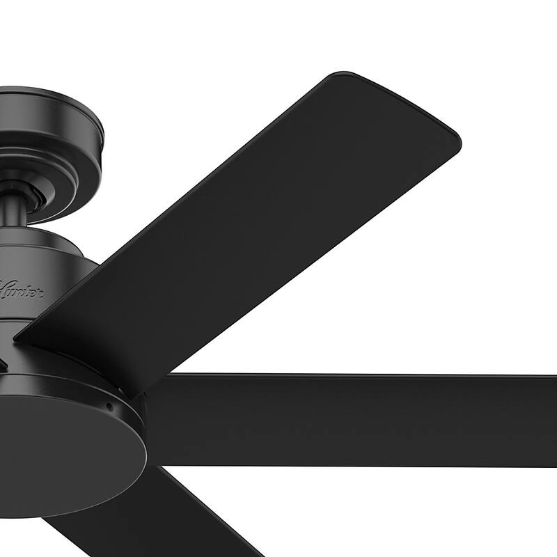Hunter 44" Kennicott Outdoor Ceiling Fan with Wall Control, Damp Rated - Industrial, Contemporary, Transitional