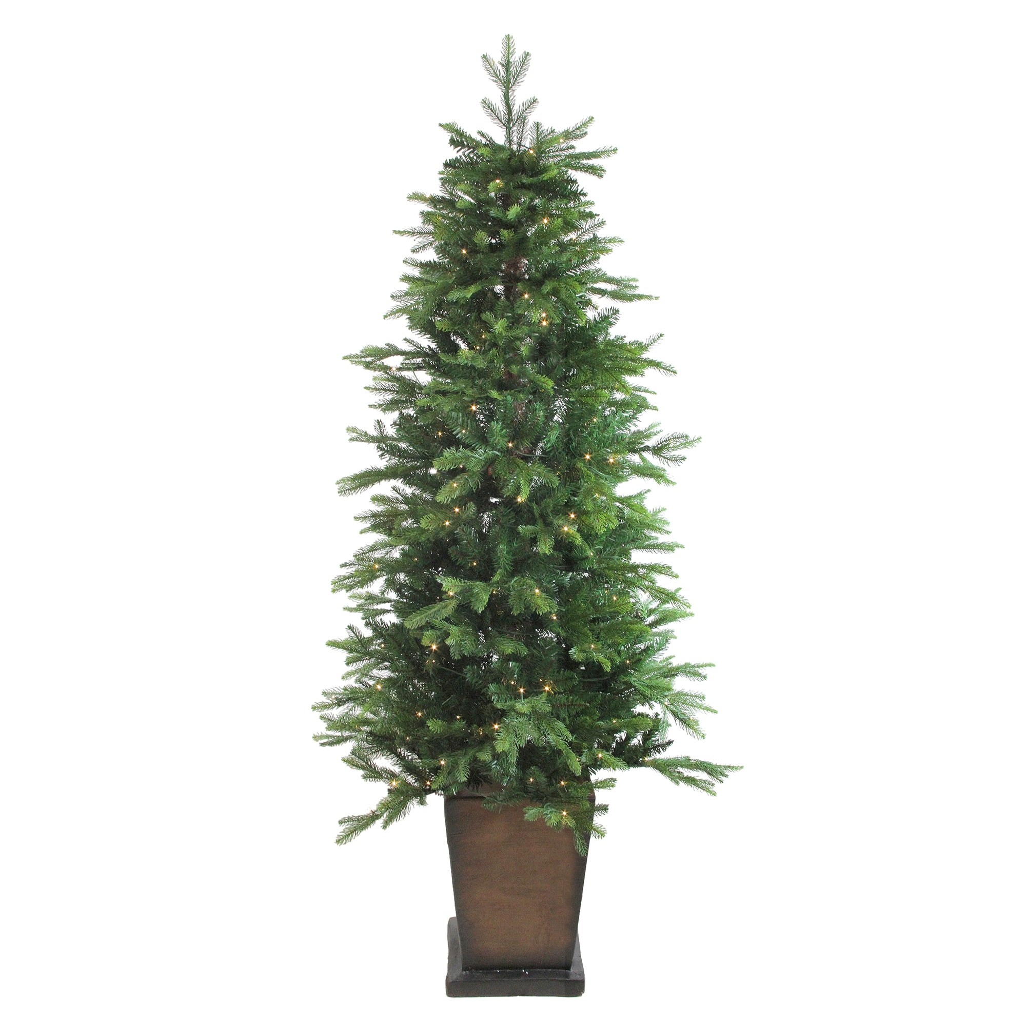 6 Pre Lit Potted Oregon Noble Fir Slim Artificial Christmas Tree Warm White Led Lights 6 Foot On Sale Overstock 25574300 The tree is quite good and is great for those small spaces. 6 pre lit potted oregon noble fir slim artificial christmas tree warm white led lights 6 foot