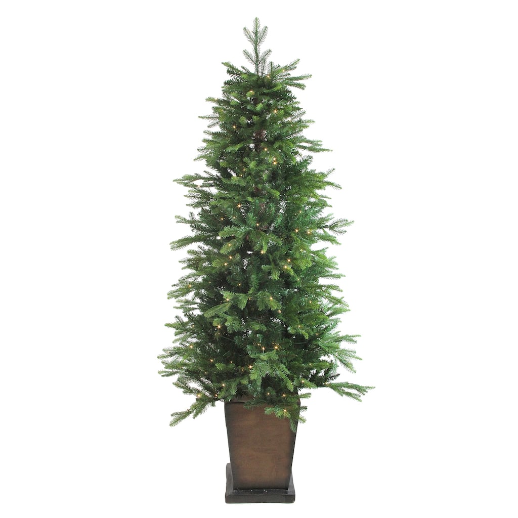6' Pre-Lit Potted Oregon Noble Fir Slim Artificial Christmas Tree - LED Lights
