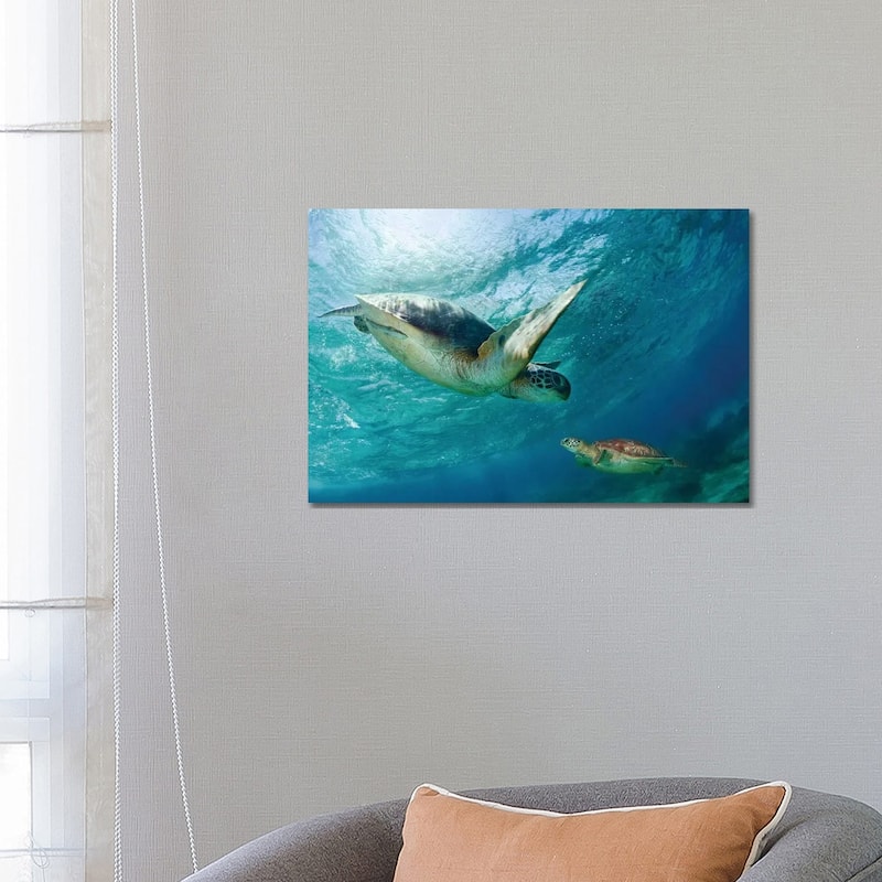 iCanvas "Contact" by Andrey Narchuk Canvas Print - 18x26x1.5