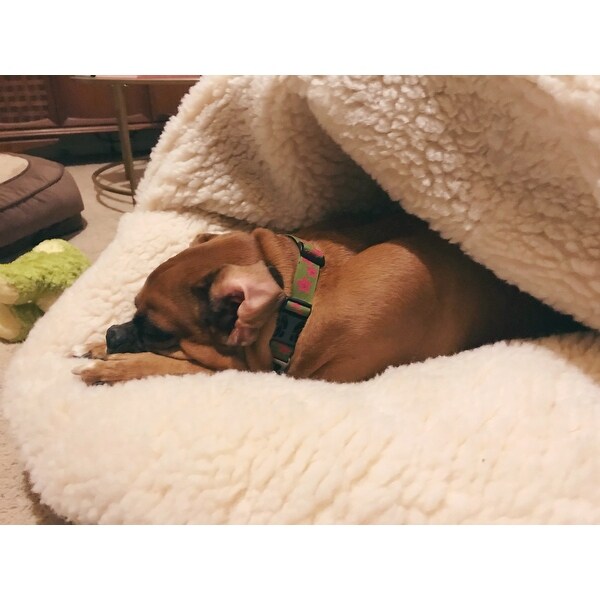 dog cave bed canada
