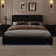 Option Black