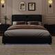 Option Black
