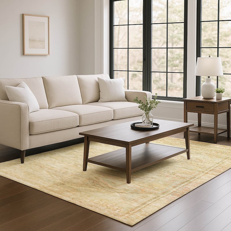 Premium Washable Super Soft Vintage Traditional Mayfield Rug - Linen - 2'6" x 3'10"