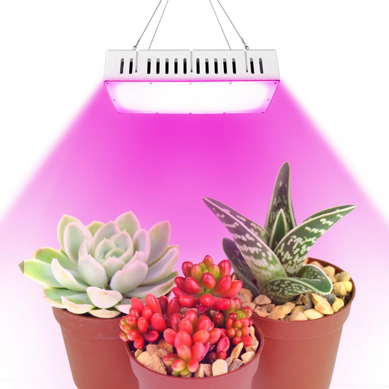 1500W LED Grow-Light Full-Spectrum For Indoor Vegetable Bloom-Plant - White  - Bed Bath & Beyond - 36068312