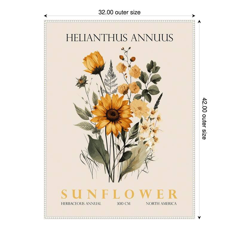 Vintage Botanical Sunflower No. 2 Illustration by Christopher Giampietro Framed Canvas Wall Art Print - White - 32 x 42 in