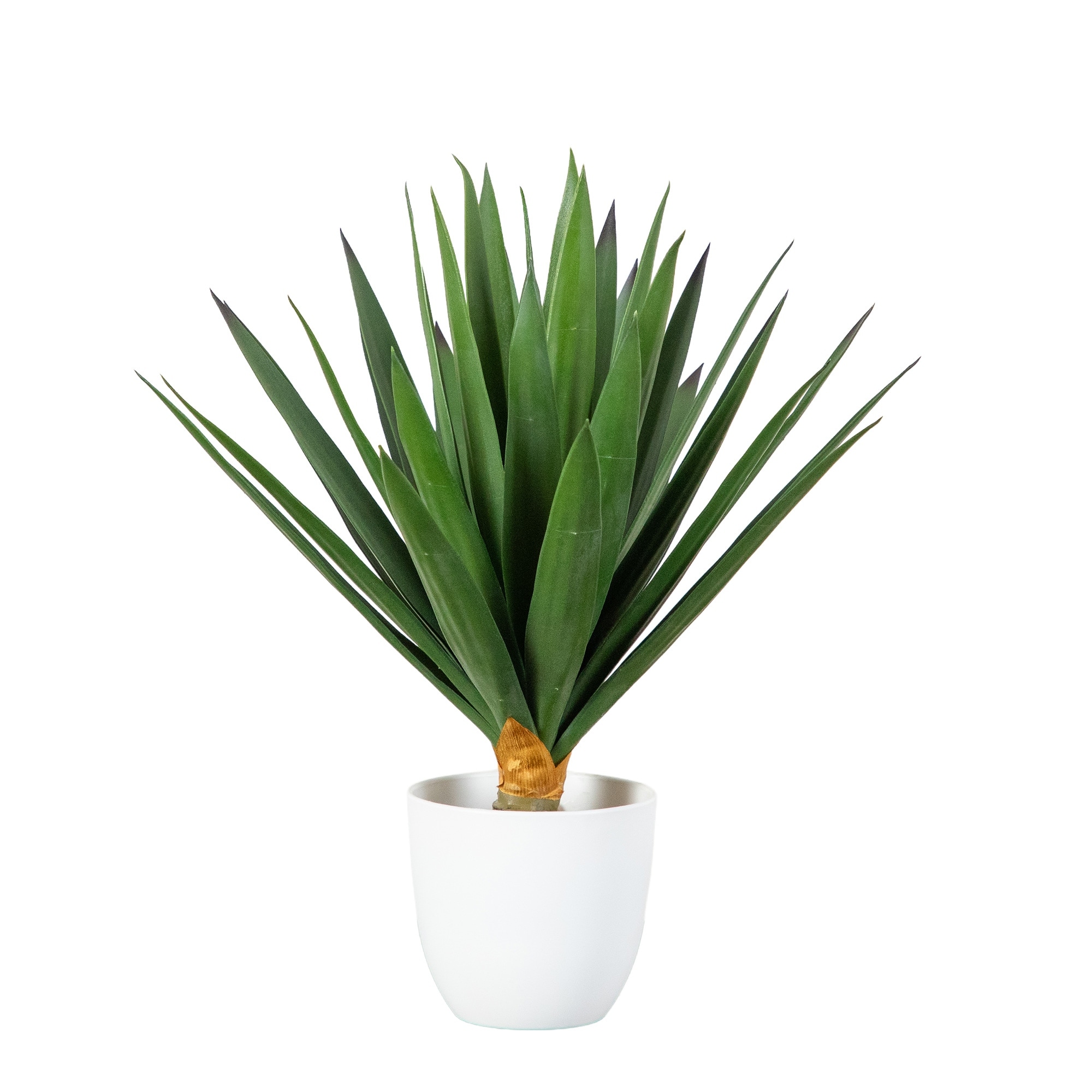 15-in UV Resistant Agave Plant in White Planter (Indoor/Outdoor)