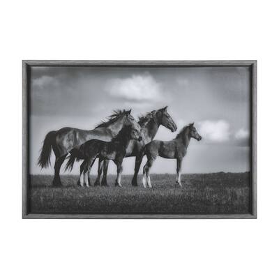 Focused Framed Art Print
