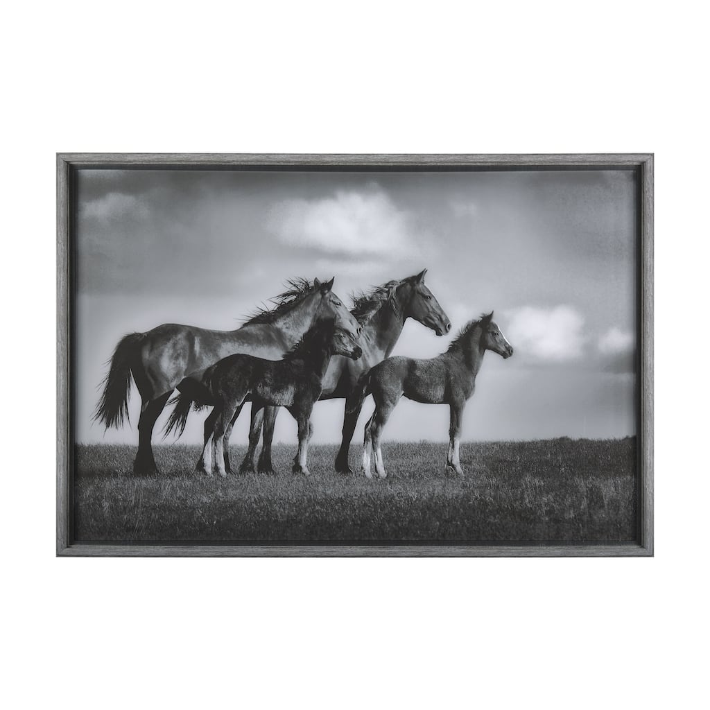Focused Framed Art Print
