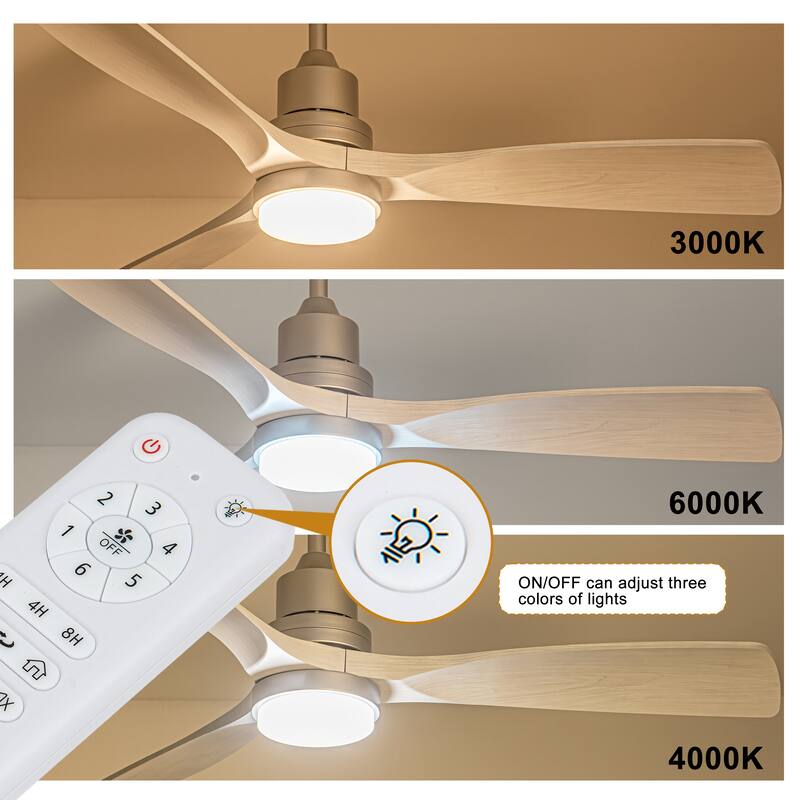 Morden LED Ceiling Fan with Light and Remote