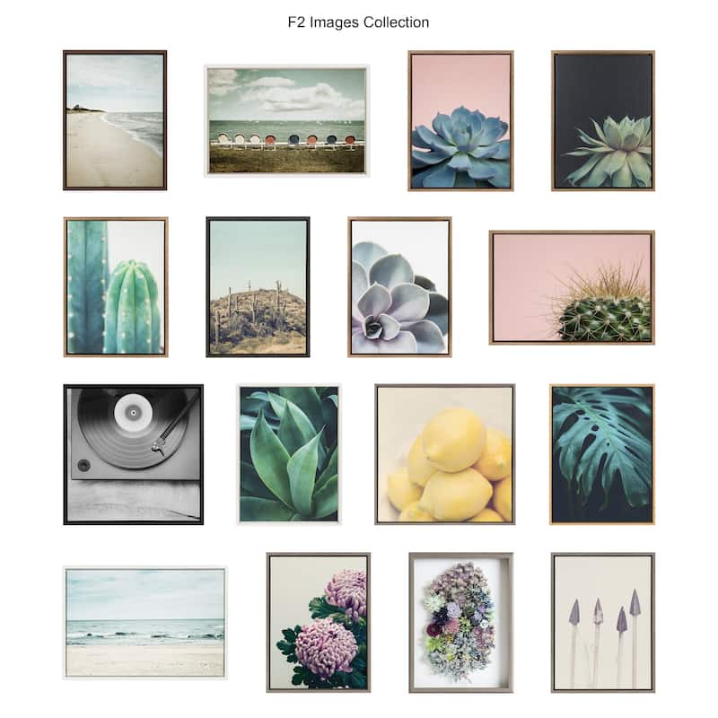 Kate and Laurel Blake Succulent 5 Framed Printed Glass by Emiko and Mark Franzen of F2Images - Gray