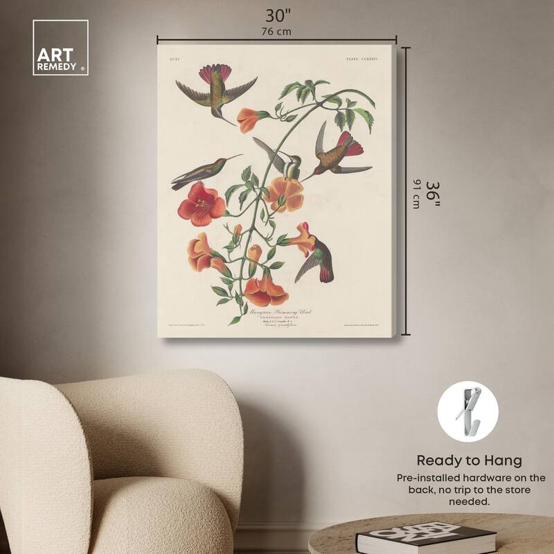 Humming Bird 1834 Canvas by Art Remedy, Gallery Wrapped